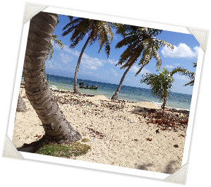 Flying High for Haiti - Ile-a-Vache